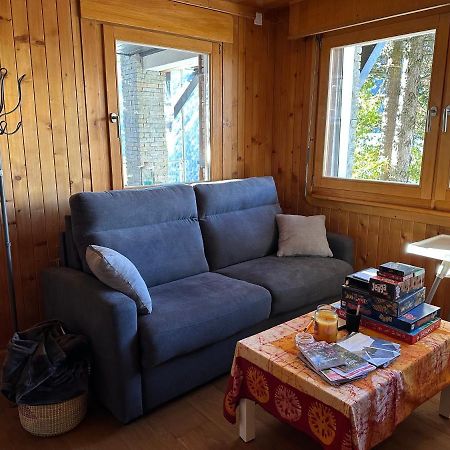 Chalet Edelweiss A Saint-Martin, Val D'Herens Ngoại thất bức ảnh